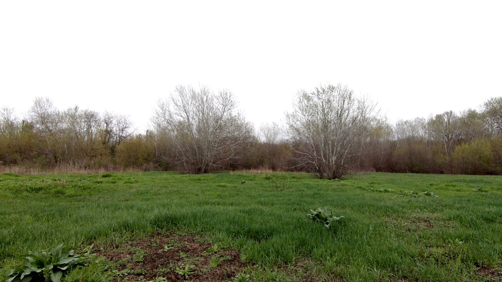 Поход 7 апреля 2026 г.