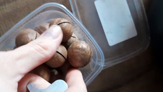 Весенняя прогулка с малышом ✨ Подготовка к новой четверти 📒 Приятный подарок 🎁