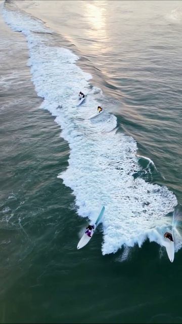 Серфинг: Волнение на волнах #серфинг #океан #приключение