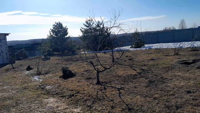 61c37a3bcc534aeb2bdbeb3e85924fb1