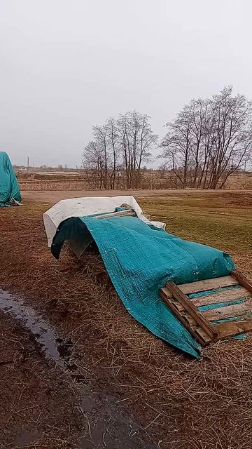 8.04.26.не погода