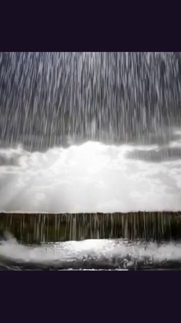 #дождь #дождливыемоменты #дождливыйдень #капливоды #мокрыйпейзаж