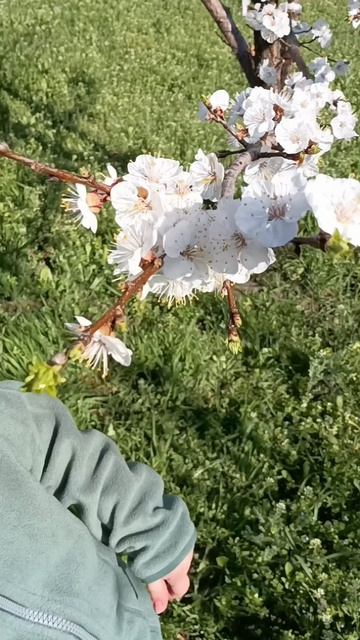 Весенняя прогулка с малышом ✨