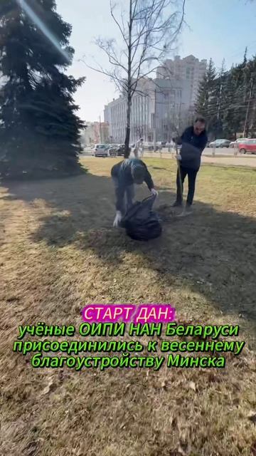 Учёные приступили к наведению порядка