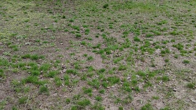 Апрель в Урюпинске.