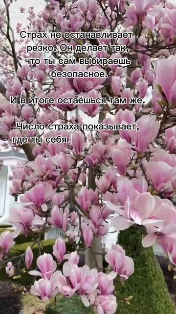 Af48839e4d1694587be37a9b5d8d6b03