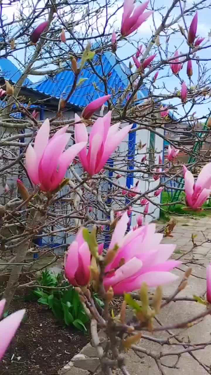 2026-04-08T12:44:06.597Z