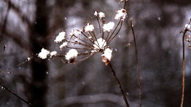 на Эльбрус детская песенка