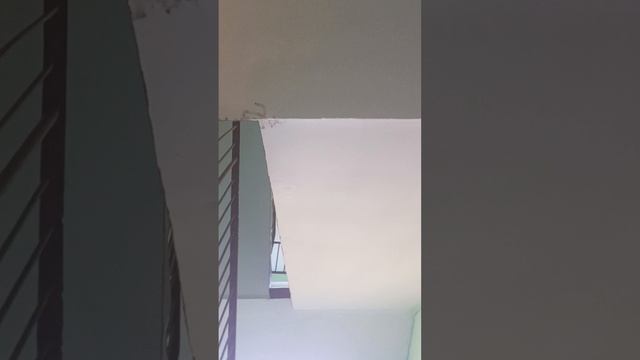 сегодня показываю как до школы похожу прихожу до дома