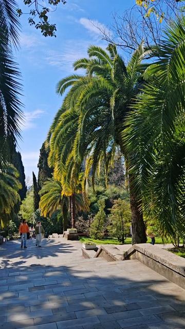 Сочи. Дендрарий.