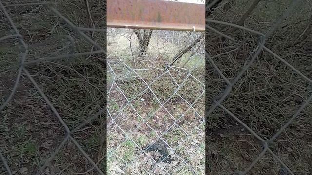 Огородный выходной.