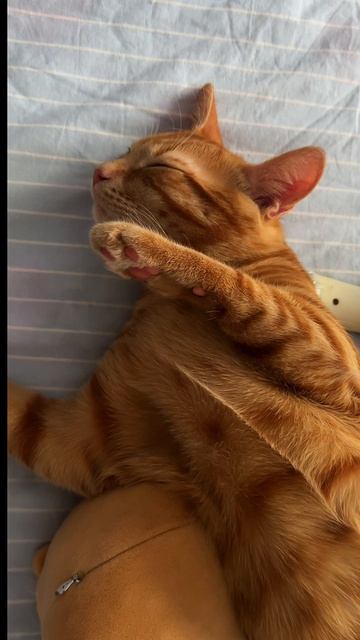 МОЖЕТ В ЭТОМ МОЕ СЧАСТЬЕ?!