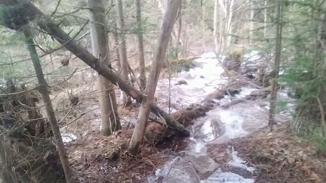 Весна на зелёной улице.Половодье на лесной полянке.