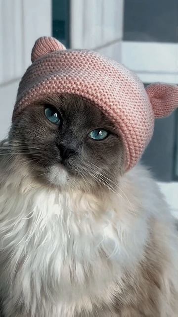 #майлз #ойзапала #запала