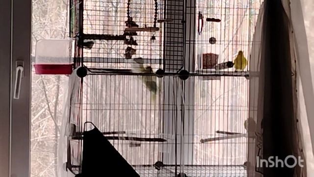 201).08.04.26.Моя городская жизнь 🏢👩🍀🍀🍀