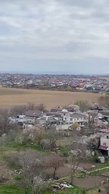 1-к. квартира 33 м², 12:13