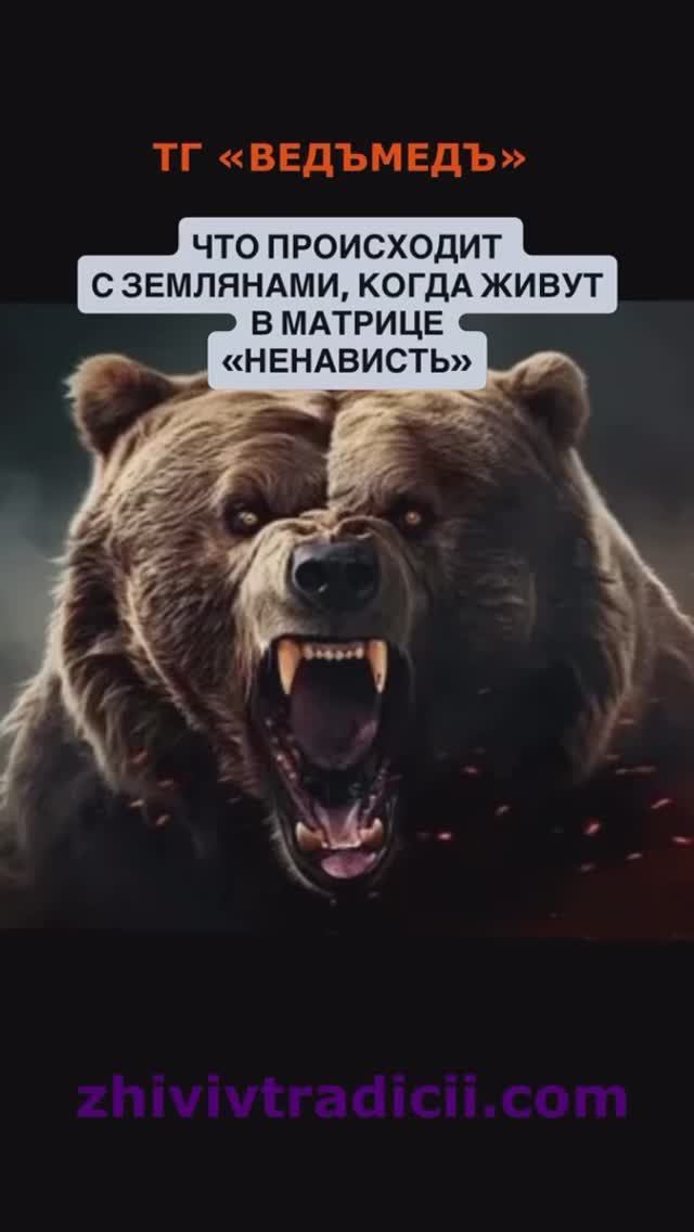 ЧТО ПРОИСХОДИТ С ЗЕМЛЯНАМИ, КОГДА ОНИ ЖИВУТ В МАТРИЦЕ 