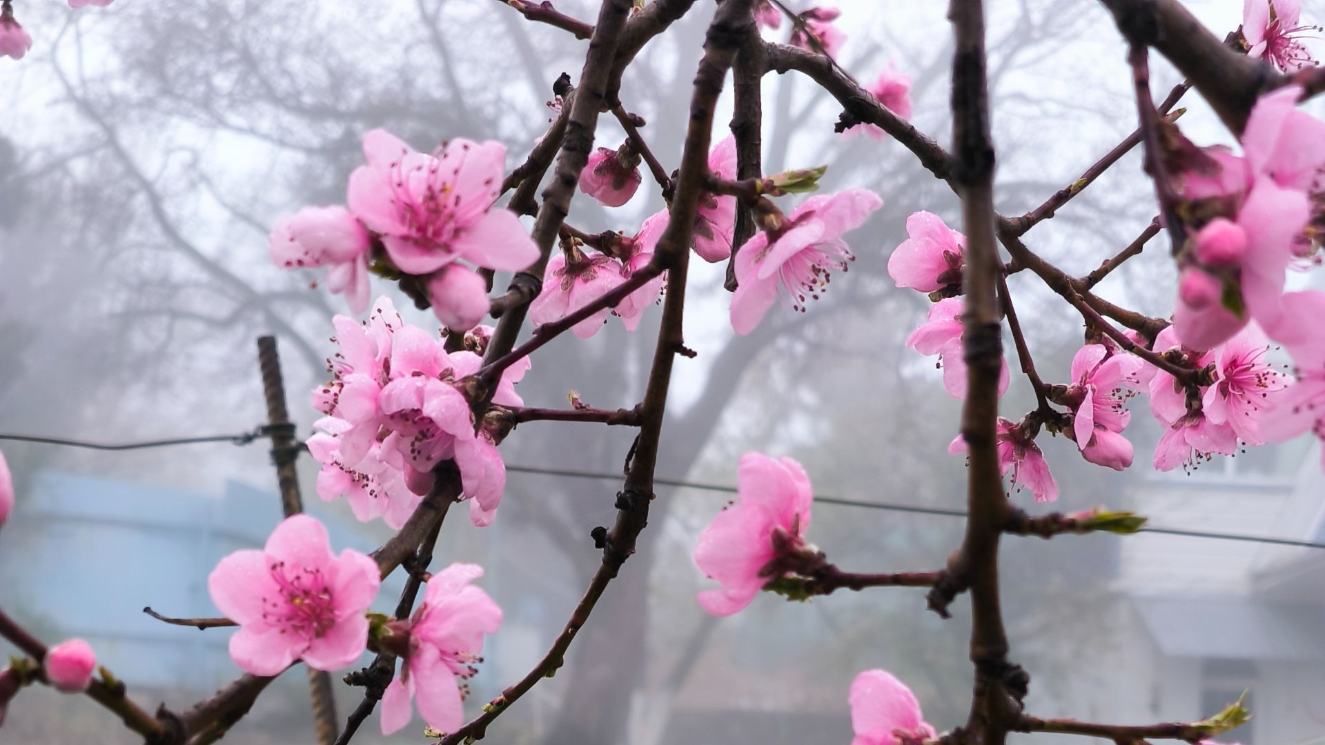 Песенная Медитация 08.04.2026