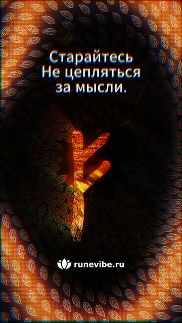 86feac348d9bee63cd71e894054c4327