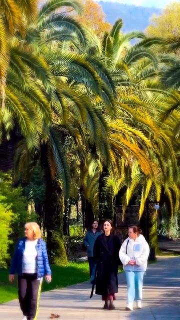 АБХАЗИЯ, курорт ГАГРА сегодня (8 апреля, ВЕСНА-2026)