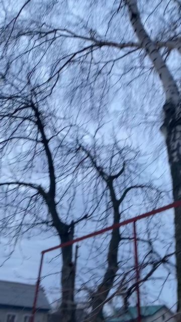 Великая среда 🕊Раннее морозное утро☀️