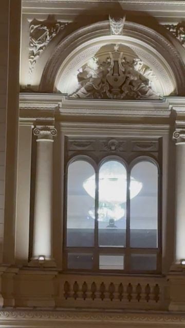 Просто окно Санкт-Петербургского дворца (Консерватория)