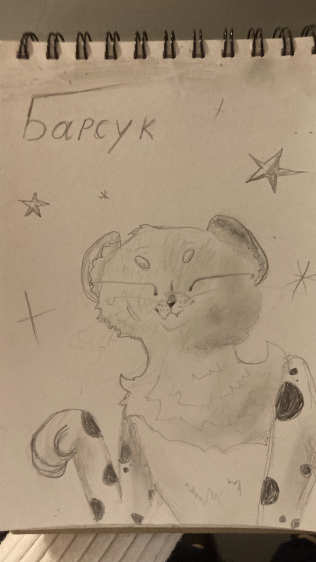 Арт для Барсука. Карандаши цветные забыла дома 😅