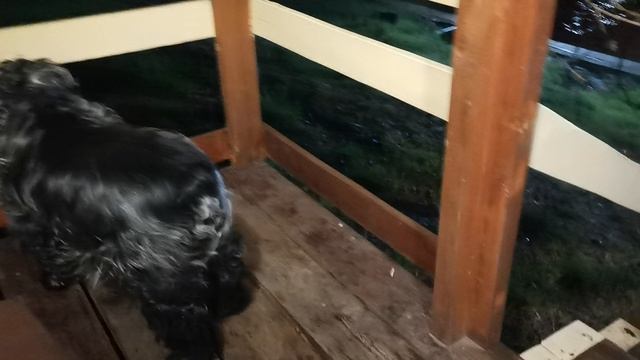 СОЧИ ГОРНОЕ ЛОО УТРО 08.04.2026