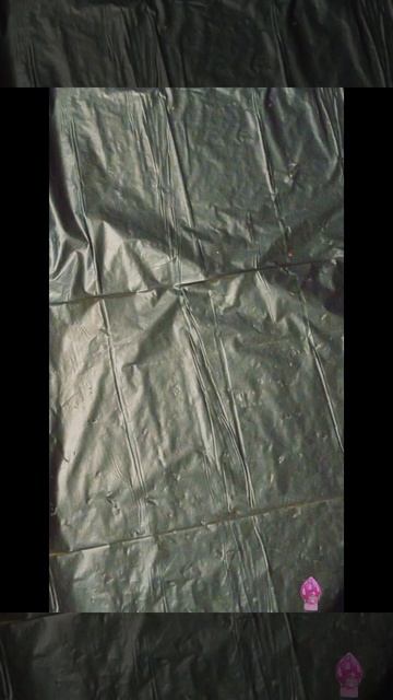 мои малышки

#масло
#масляныекраски 
#ловиволну 
#моибудни 
#своимируками 
#ловимдзен