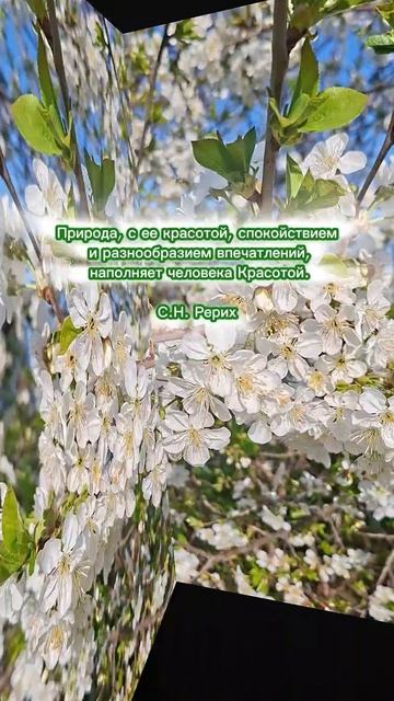 С.Н.Рерих. Природа