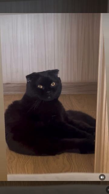 Счастье в мелочах