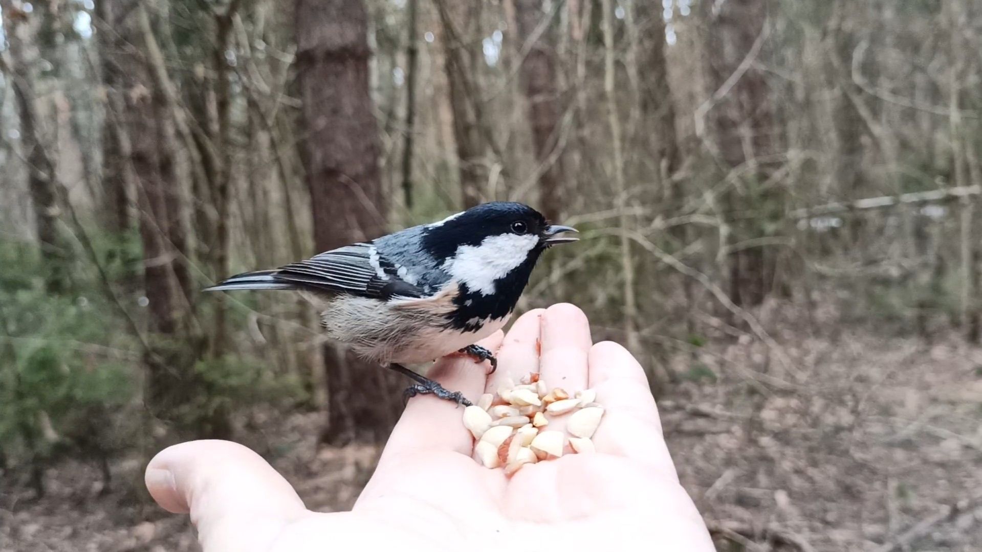 Экотерапия 79 серия.