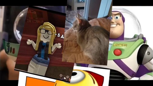 лови ответко