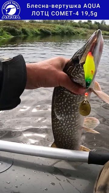 Блесна-вертушка AQUA ЛОТЦ COMET-4 19,5g