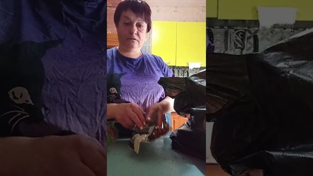 Наши деревенские будни 😊