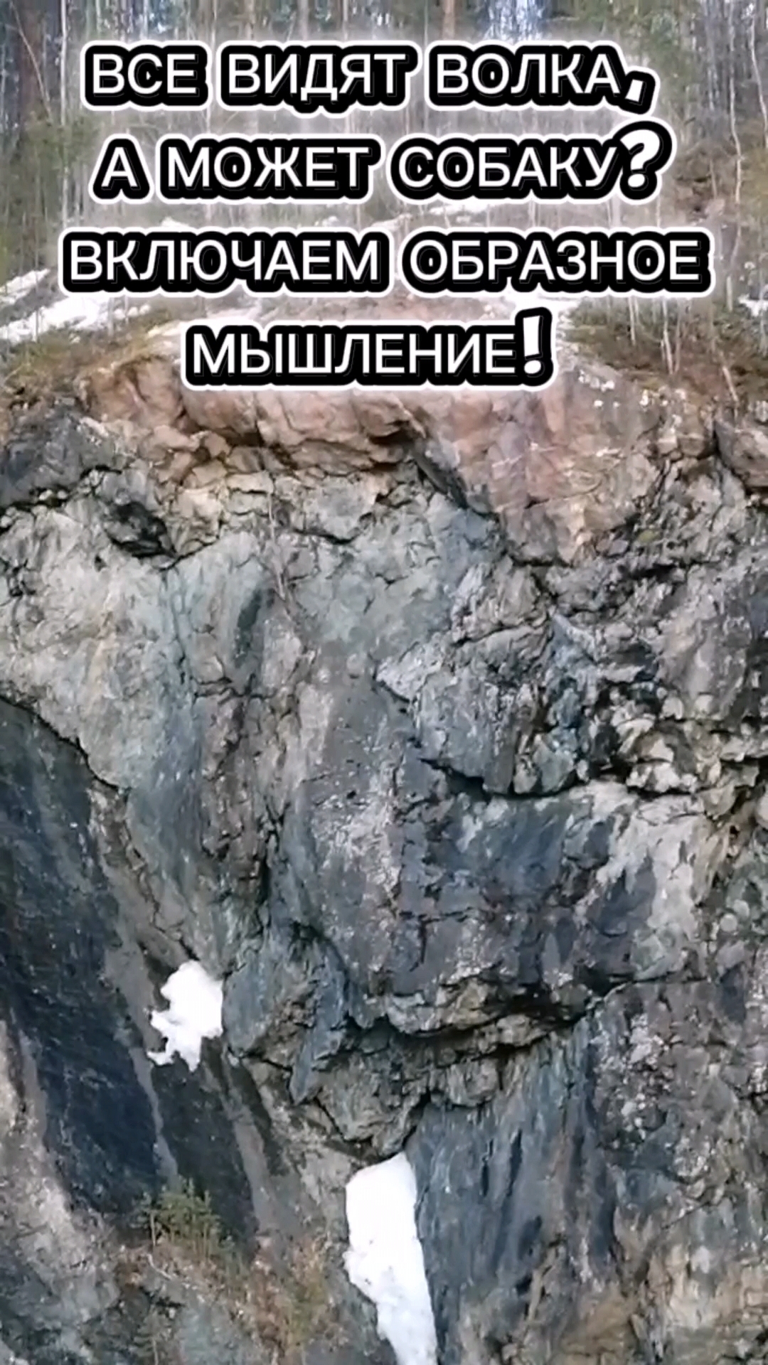 ПРИРОДА! ВКЛЮЧАЕМ ОБРАЗНОЕ МЫШЛЕНИЕ, КОГО ВИДИТЕ? #природа #природасеверногокрая #красота