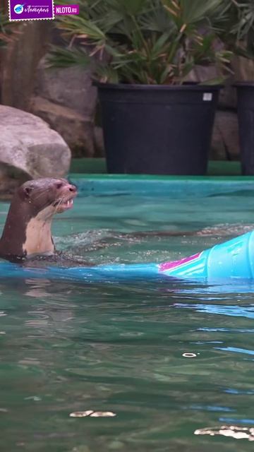 0458e1b944f354bf12f72f05fb965b02