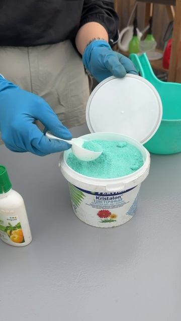 СТРИЖКА ЛУКА