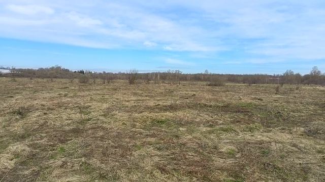 прогулка в апреле 2026г