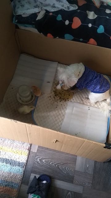 пусти меня к детям