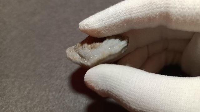 Агат серый срез жеоды АСЖ №1. Бразилия.