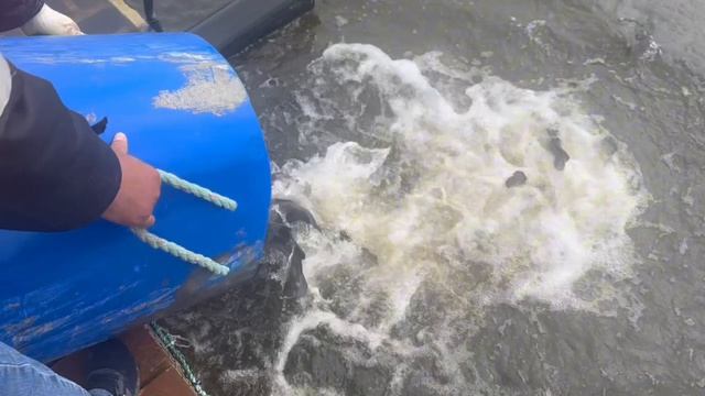 Copy_26FCF209-772E-4108-8C11-54EDF7D72598