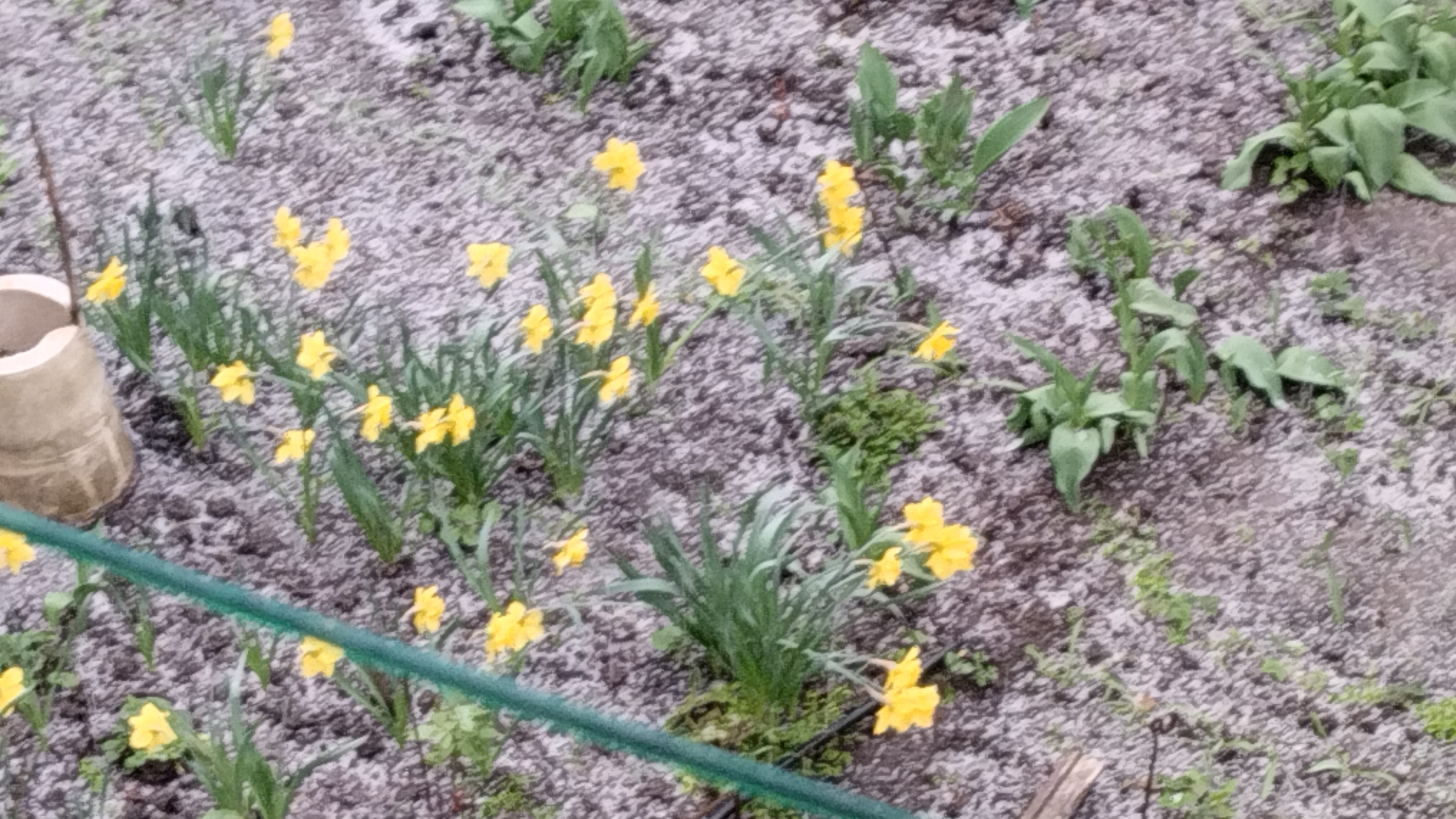 9a4da727025dfe00e58b5dba4e04f168