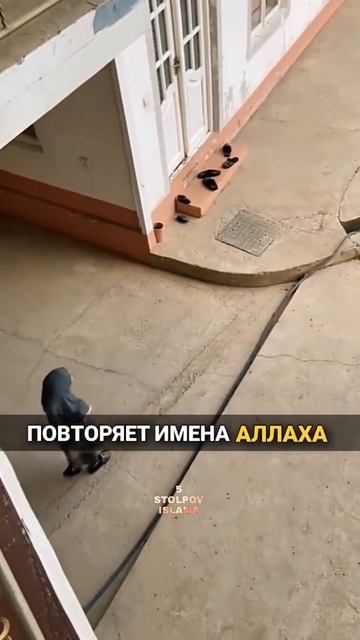 Девочка повторяет имена Аллаха