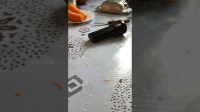 Как сделать сок из моркови бедная соковыжималка