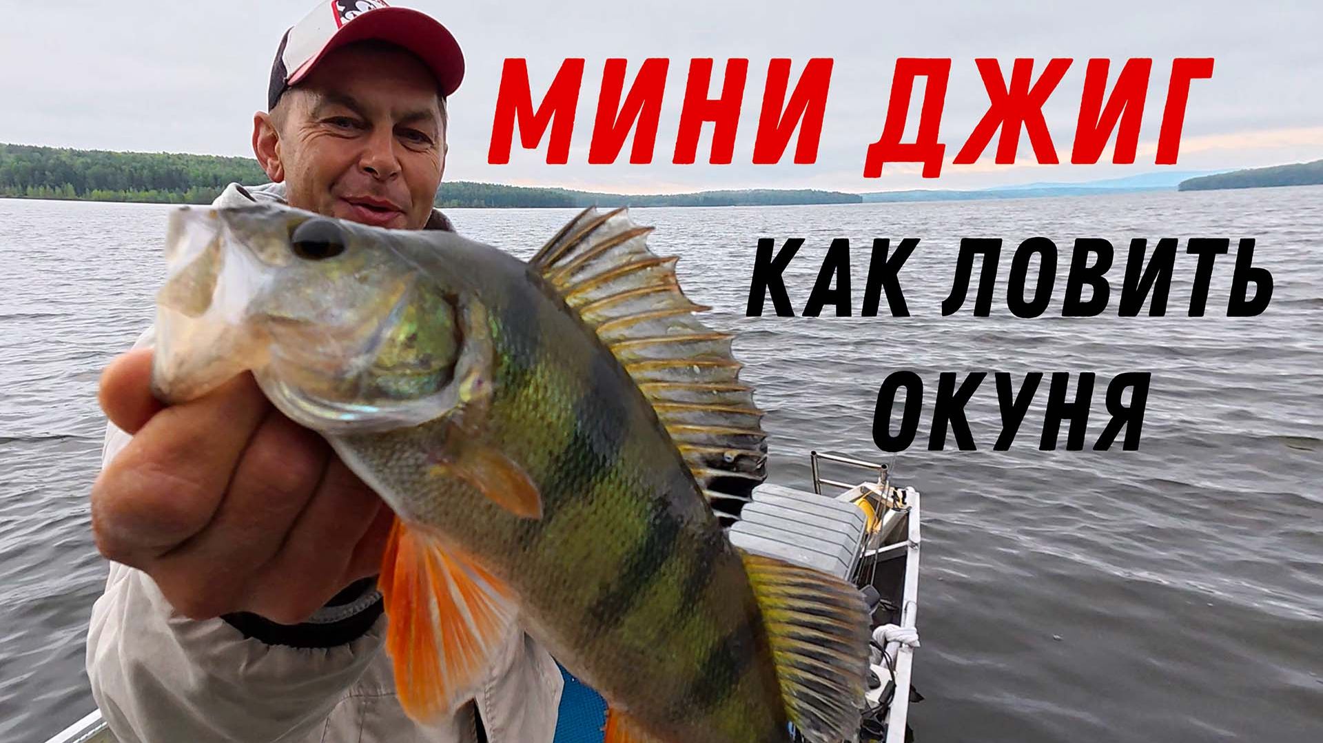 8cce3b23635b08b79ce55c00f0e0944b