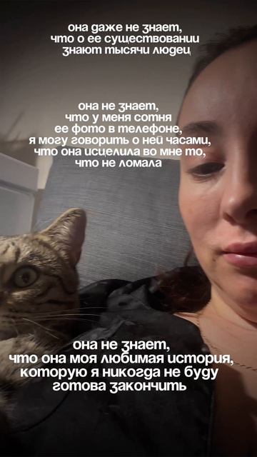 Шпроточка #шпротина #кошка