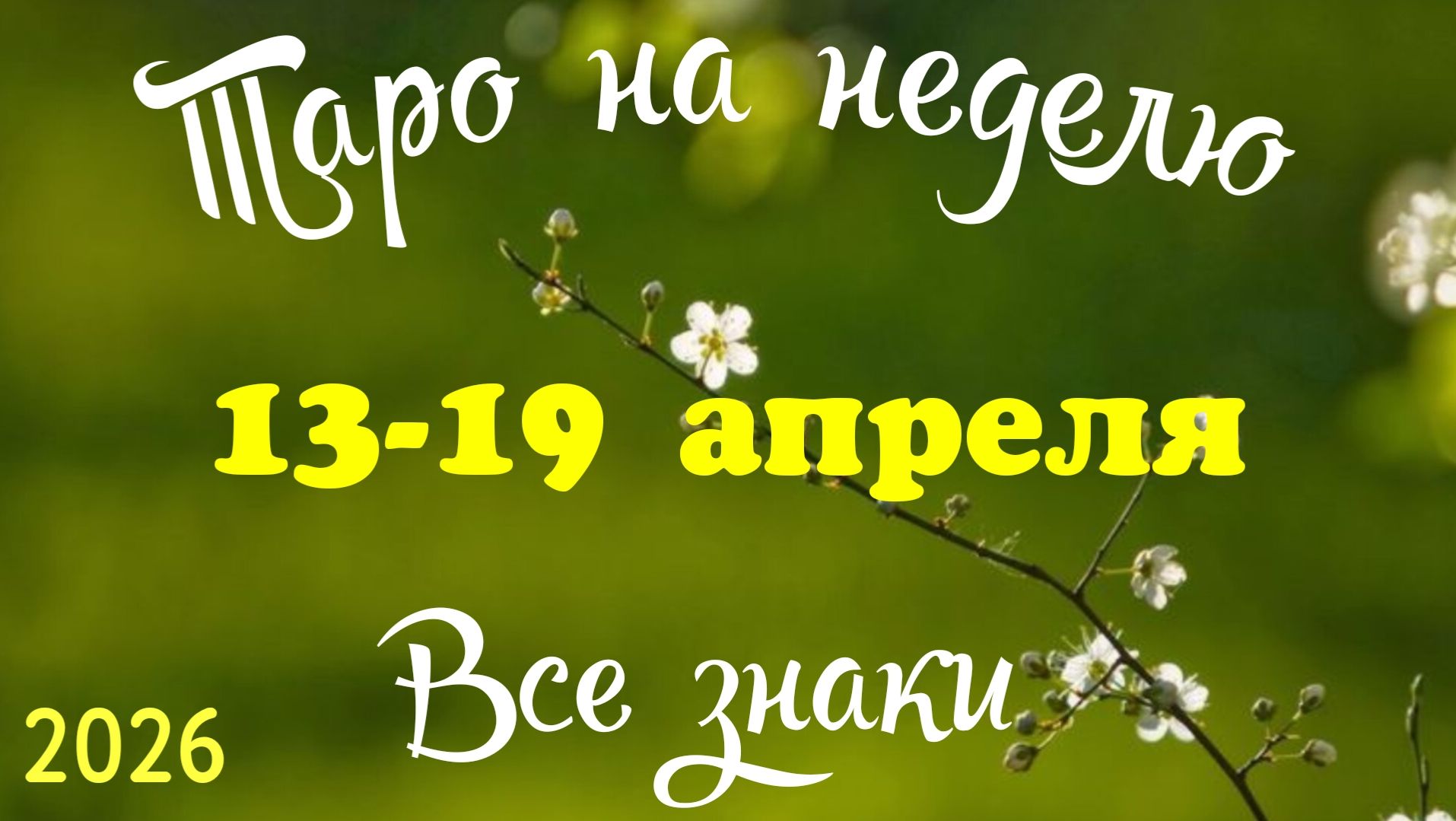 Таро-прогноз🎀на неделю с 13 по 19 апреля 🔥Тайм-код в описании🕊
