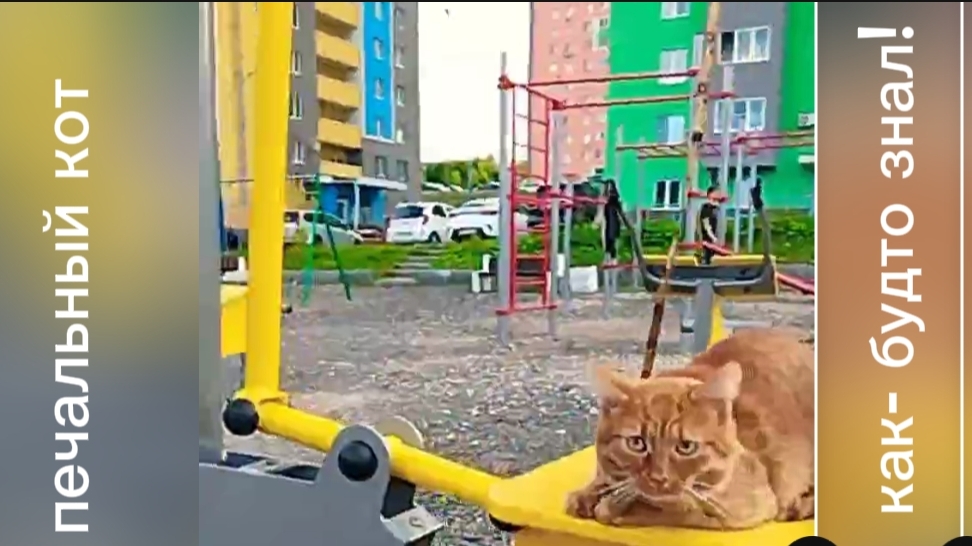 ФРАГМЕНТЫ ЯРКОЙ ЖИЗНИ, КОТОРЫЕ НЕ ЗАБЫТЬ | БАРСИК