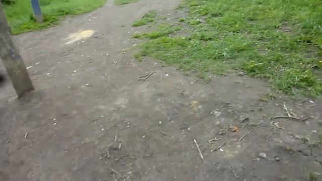 Первый день на летних КАНИКУЛАХ / Три подружки / Нам хочется гулять... / Идущая за Мечтой